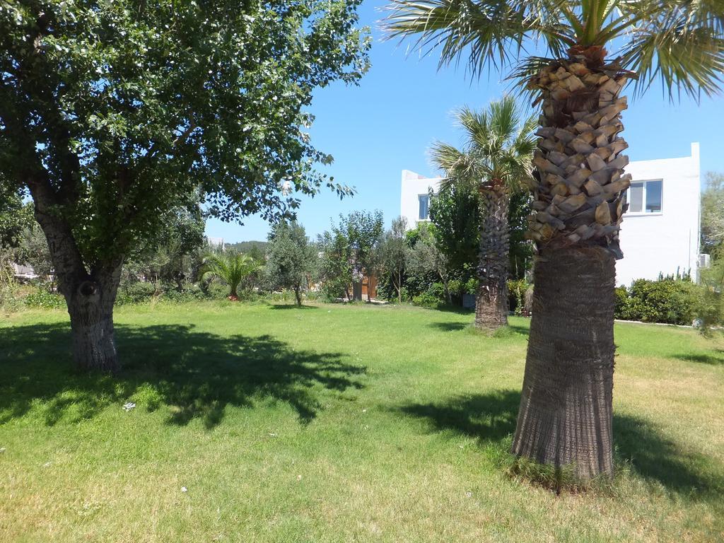 Aytas Hotel Ayvalik Bagian luar foto