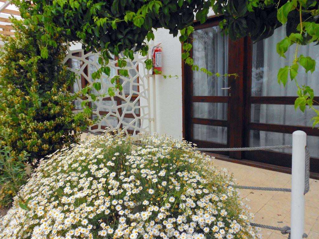 Aytas Hotel Ayvalik Bagian luar foto