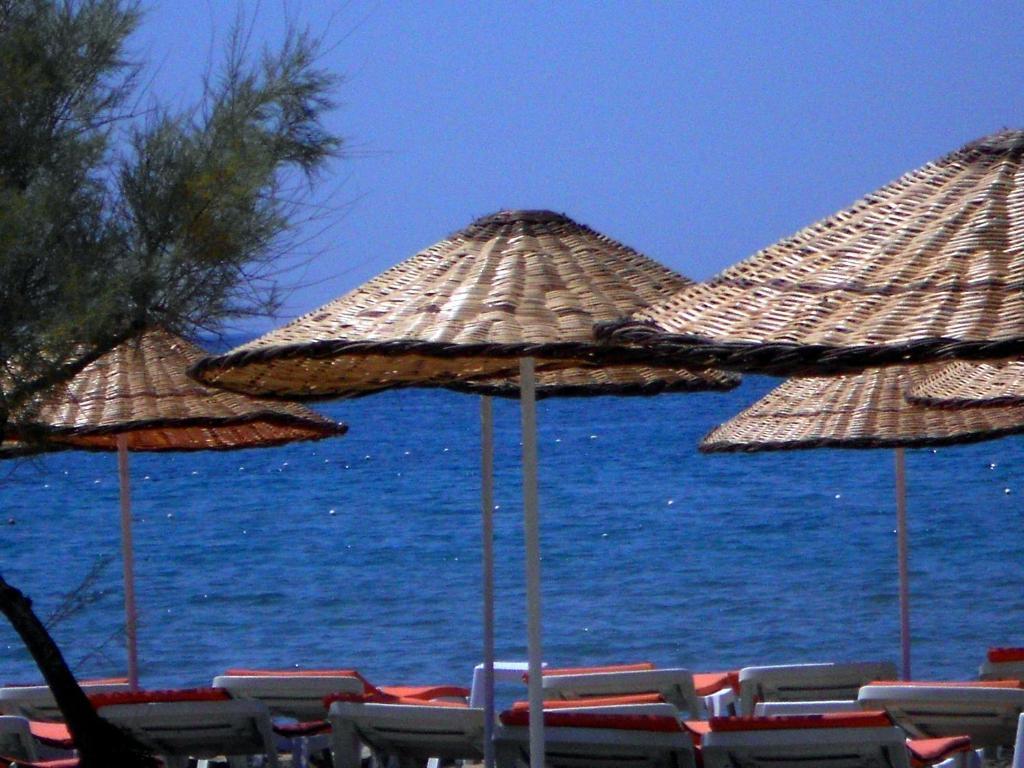 Aytas Hotel Ayvalik Bagian luar foto